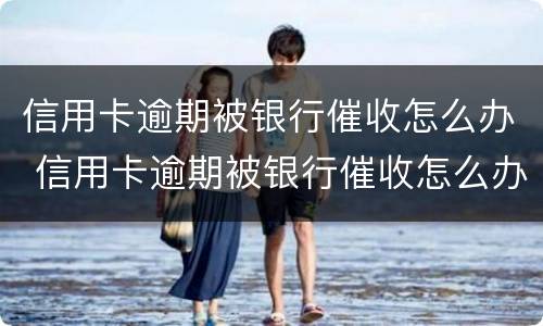 信用卡逾期被银行催收怎么办 信用卡逾期被银行催收怎么办呢