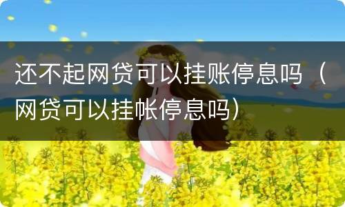 还不起网贷可以挂账停息吗（网贷可以挂帐停息吗）