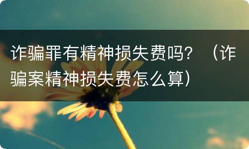 诈骗罪有精神损失费吗？（诈骗案精神损失费怎么算）