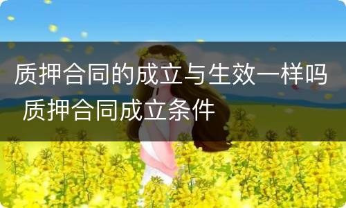 质押合同的成立与生效一样吗 质押合同成立条件
