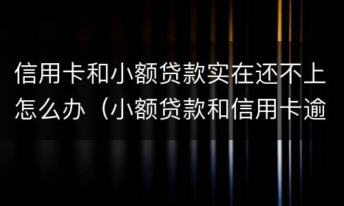 信用卡和小额贷款实在还不上怎么办（小额贷款和信用卡逾期优先还哪个）