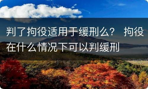 判了拘役适用于缓刑么？ 拘役在什么情况下可以判缓刑