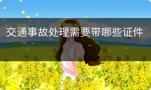 交通事故处理需要带哪些证件