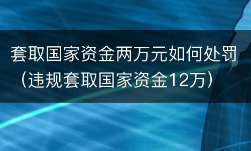 套取国家资金两万元如何处罚（违规套取国家资金12万）