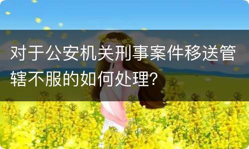 对于公安机关刑事案件移送管辖不服的如何处理？