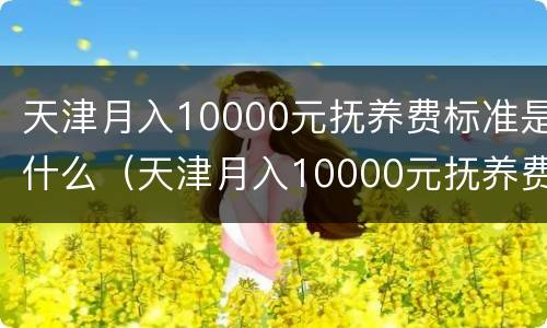 天津月入10000元抚养费标准是什么（天津月入10000元抚养费标准是什么呢）