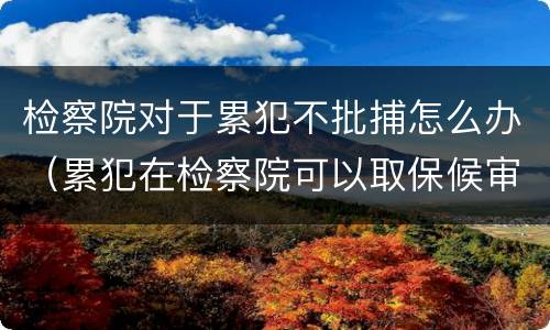 检察院对于累犯不批捕怎么办（累犯在检察院可以取保候审吗）