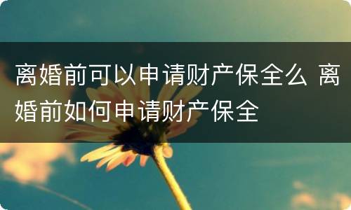 离婚前可以申请财产保全么 离婚前如何申请财产保全