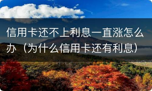 信用卡还不上利息一直涨怎么办（为什么信用卡还有利息）