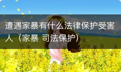 遭遇家暴有什么法律保护受害人（家暴 司法保护）