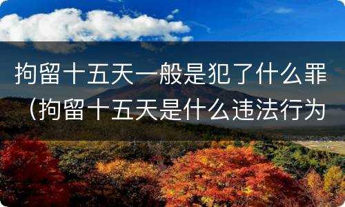 拘留十五天一般是犯了什么罪（拘留十五天是什么违法行为）