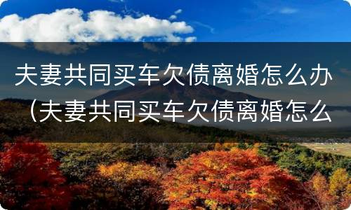 夫妻共同买车欠债离婚怎么办（夫妻共同买车欠债离婚怎么办呢）