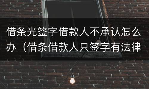 借条光签字借款人不承认怎么办（借条借款人只签字有法律效应吗?）