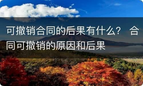 可撤销合同的后果有什么？ 合同可撤销的原因和后果