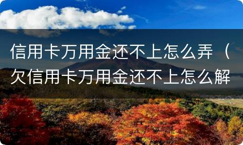 信用卡万用金还不上怎么弄（欠信用卡万用金还不上怎么解决）