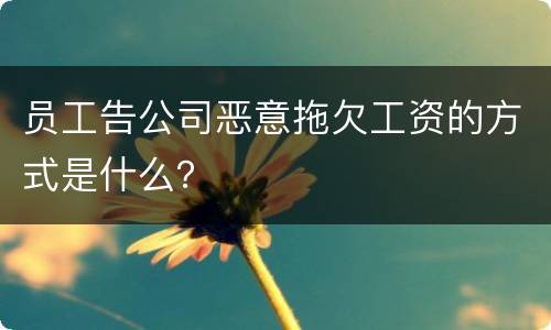 员工告公司恶意拖欠工资的方式是什么？
