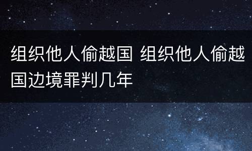 组织他人偷越国 组织他人偷越国边境罪判几年