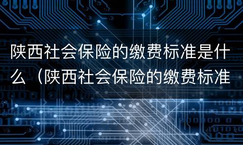 陕西社会保险的缴费标准是什么（陕西社会保险的缴费标准是什么意思）