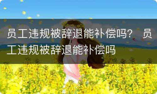 员工违规被辞退能补偿吗？ 员工违规被辞退能补偿吗