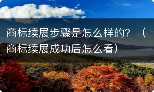 商标续展步骤是怎么样的？（商标续展成功后怎么看）