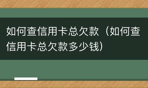 如何查信用卡总欠款（如何查信用卡总欠款多少钱）
