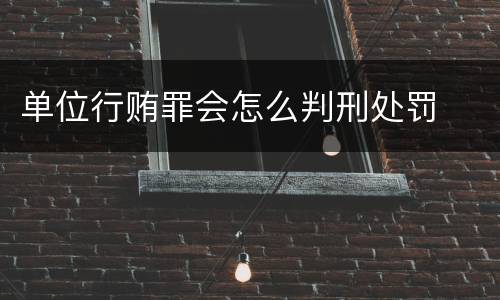 单位行贿罪会怎么判刑处罚