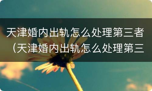 天津婚内出轨怎么处理第三者（天津婚内出轨怎么处理第三者赔偿）