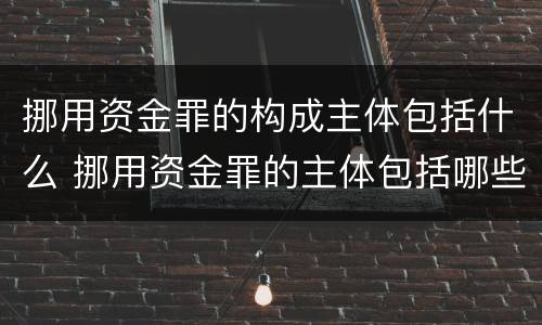 挪用资金罪的构成主体包括什么 挪用资金罪的主体包括哪些