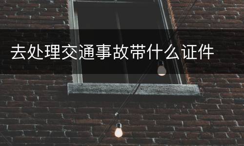 去处理交通事故带什么证件