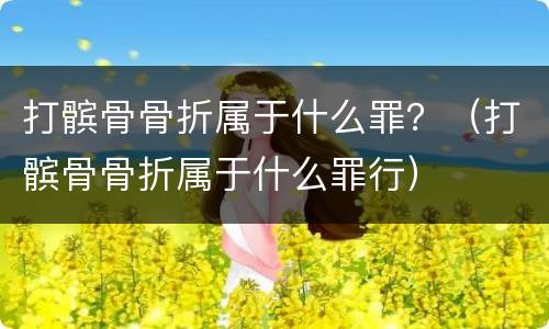 打髌骨骨折属于什么罪？（打髌骨骨折属于什么罪行）