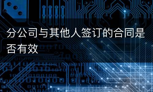 分公司与其他人签订的合同是否有效