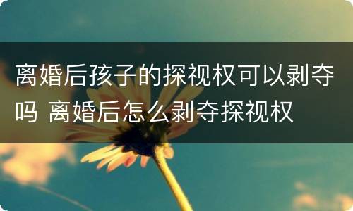离婚后孩子的探视权可以剥夺吗 离婚后怎么剥夺探视权
