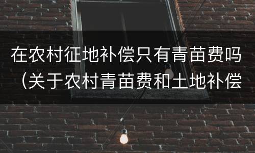 在农村征地补偿只有青苗费吗（关于农村青苗费和土地补偿费）