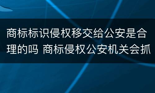 商标标识侵权移交给公安是合理的吗 商标侵权公安机关会抓人吗