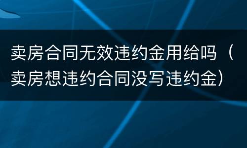 卖房合同无效违约金用给吗（卖房想违约合同没写违约金）