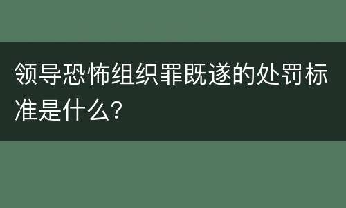 领导恐怖组织罪既遂的处罚标准是什么？