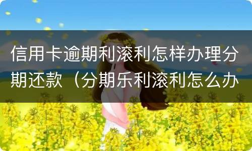 信用卡逾期利滚利怎样办理分期还款（分期乐利滚利怎么办）