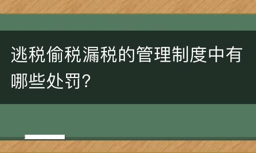 逃税偷税漏税的管理制度中有哪些处罚？