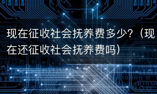 现在征收社会抚养费多少?（现在还征收社会抚养费吗）