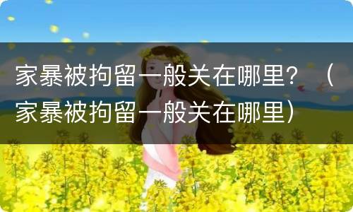家暴被拘留一般关在哪里？（家暴被拘留一般关在哪里）