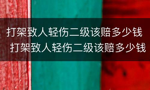 打架致人轻伤二级该赔多少钱 打架致人轻伤二级该赔多少钱合适