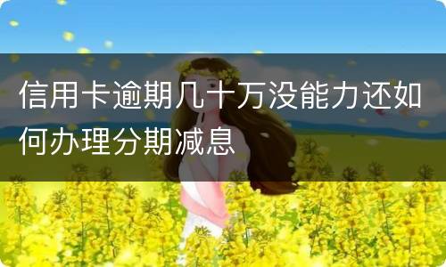 信用卡逾期几十万没能力还如何办理分期减息