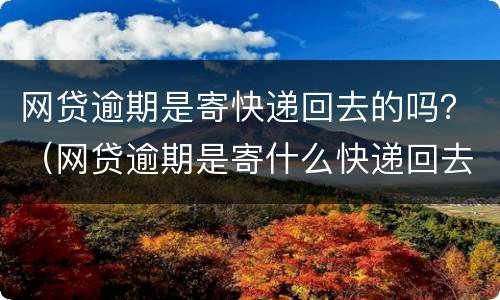 网贷逾期是寄快递回去的吗？（网贷逾期是寄什么快递回去的）