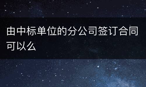 由中标单位的分公司签订合同可以么