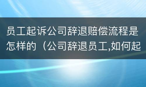 员工起诉公司辞退赔偿流程是怎样的（公司辞退员工,如何起诉）