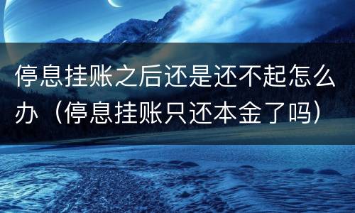 停息挂账之后还是还不起怎么办（停息挂账只还本金了吗）
