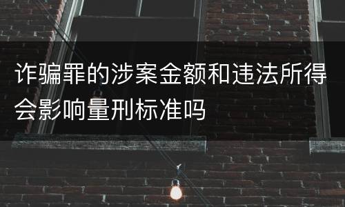 诈骗罪的涉案金额和违法所得会影响量刑标准吗