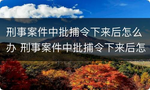 刑事案件中批捕令下来后怎么办 刑事案件中批捕令下来后怎么办手续