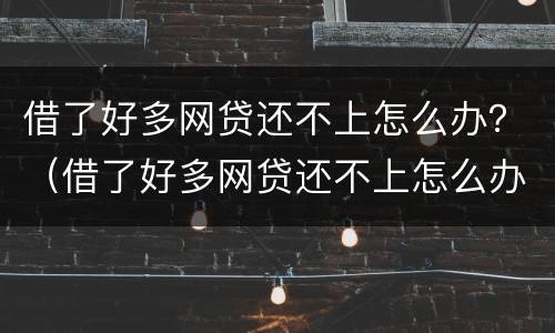 借了好多网贷还不上怎么办？（借了好多网贷还不上怎么办呀）