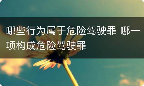 哪些行为属于危险驾驶罪 哪一项构成危险驾驶罪